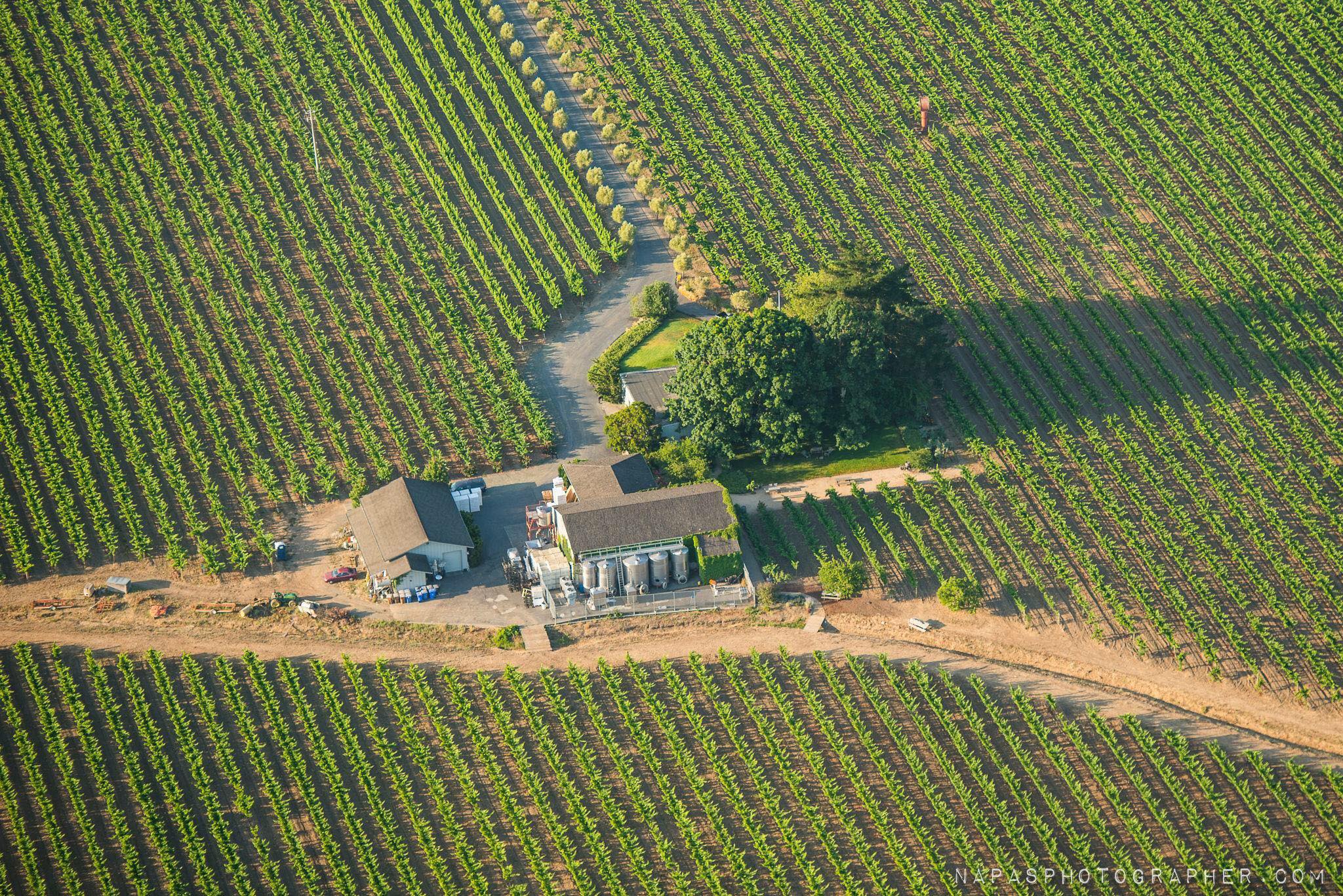 O’Brien Estate Winery