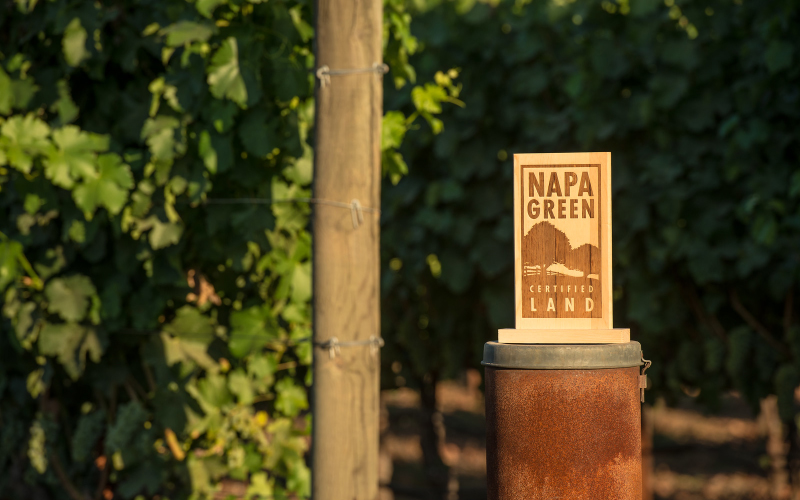 2004: Launch of Napa Green Land