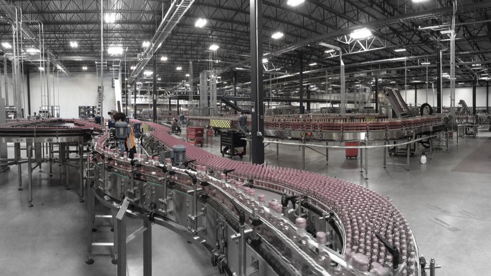 A History of Waste Reduction at Trinchero