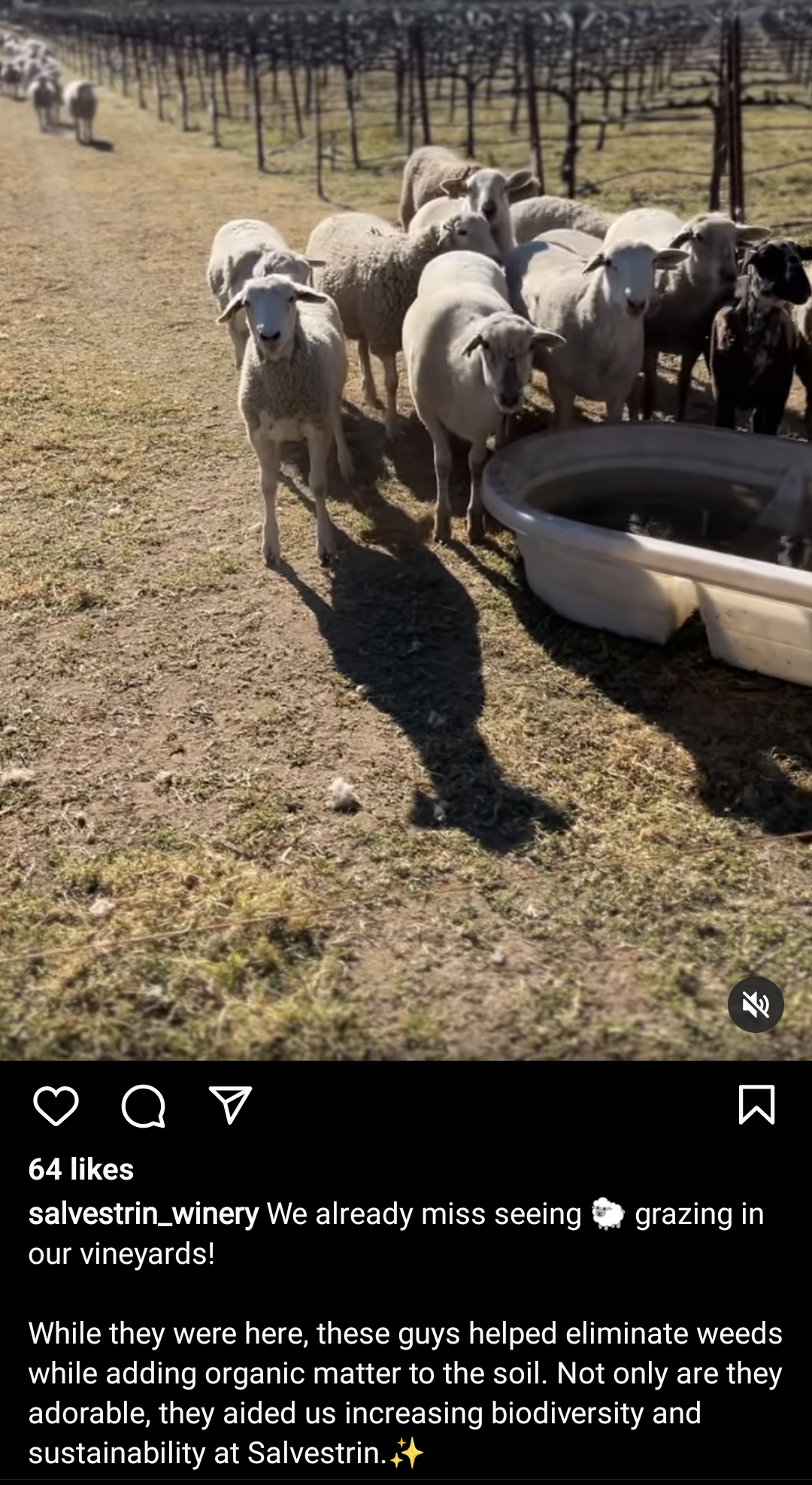 Salvestrin Social Media post