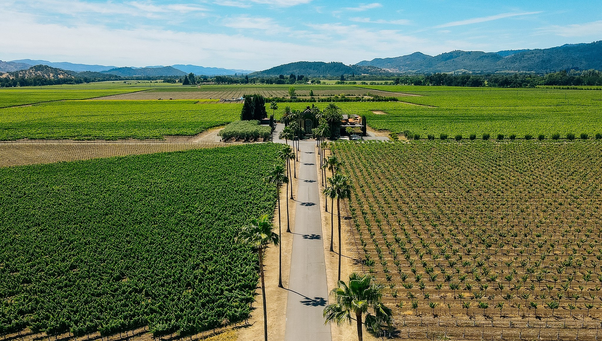 Round Pond Estate Winery