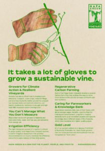 Napa Green Vineyard Poster