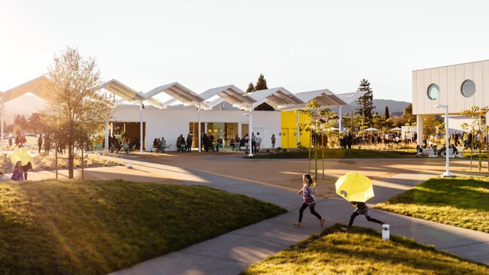 Ashes & Diamonds Winery