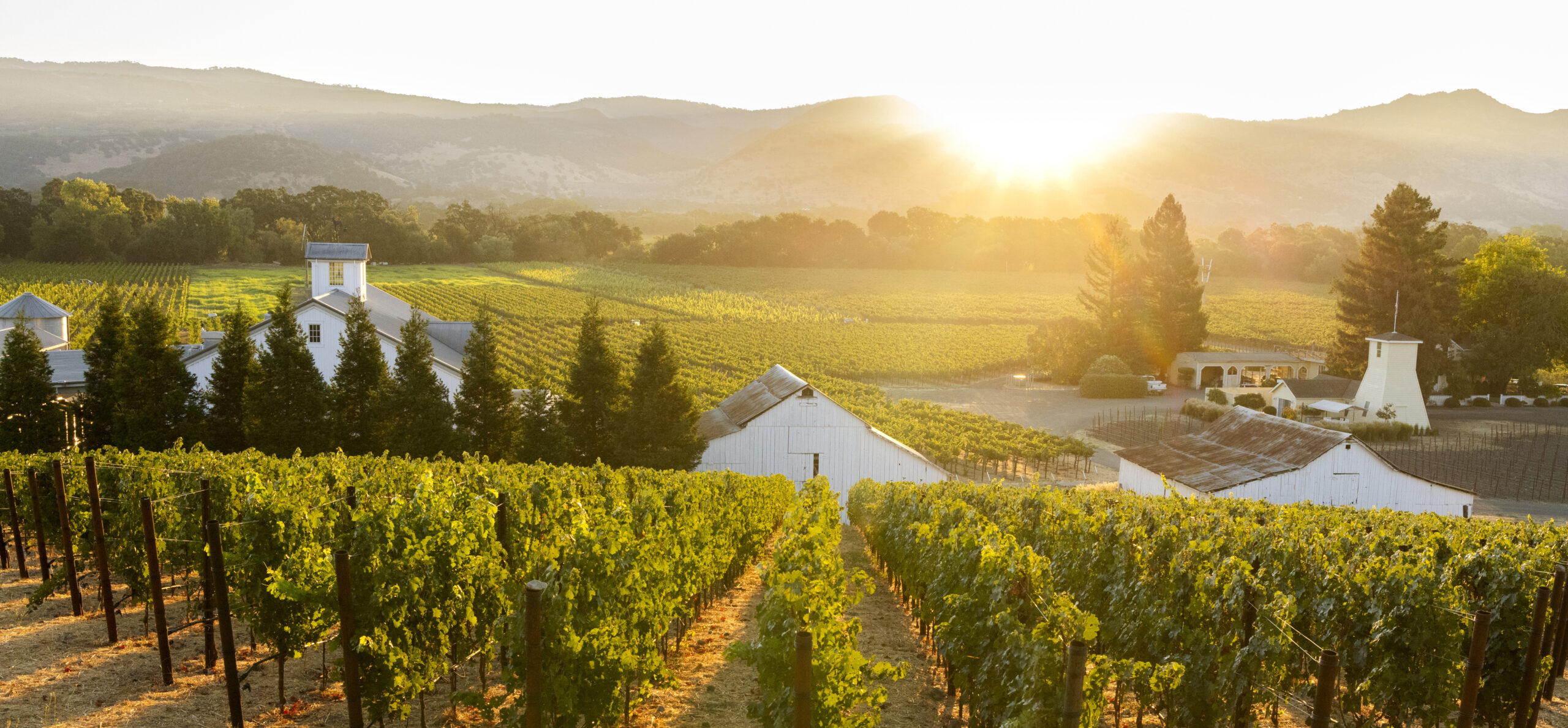 Gamble Family Vineyards