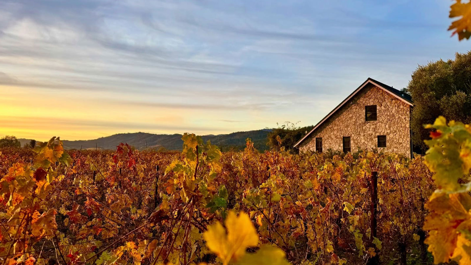 Grand Napa Vineyards