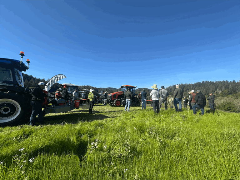 Weed Control Curious? Demos Show Where the Cuts Are Made, Experts Weigh In