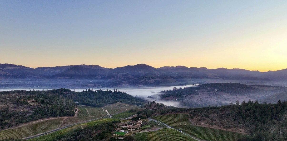 Enterprise Vineyards Management