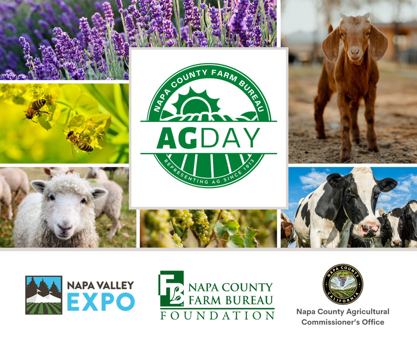 21st Annual Agriculture Day